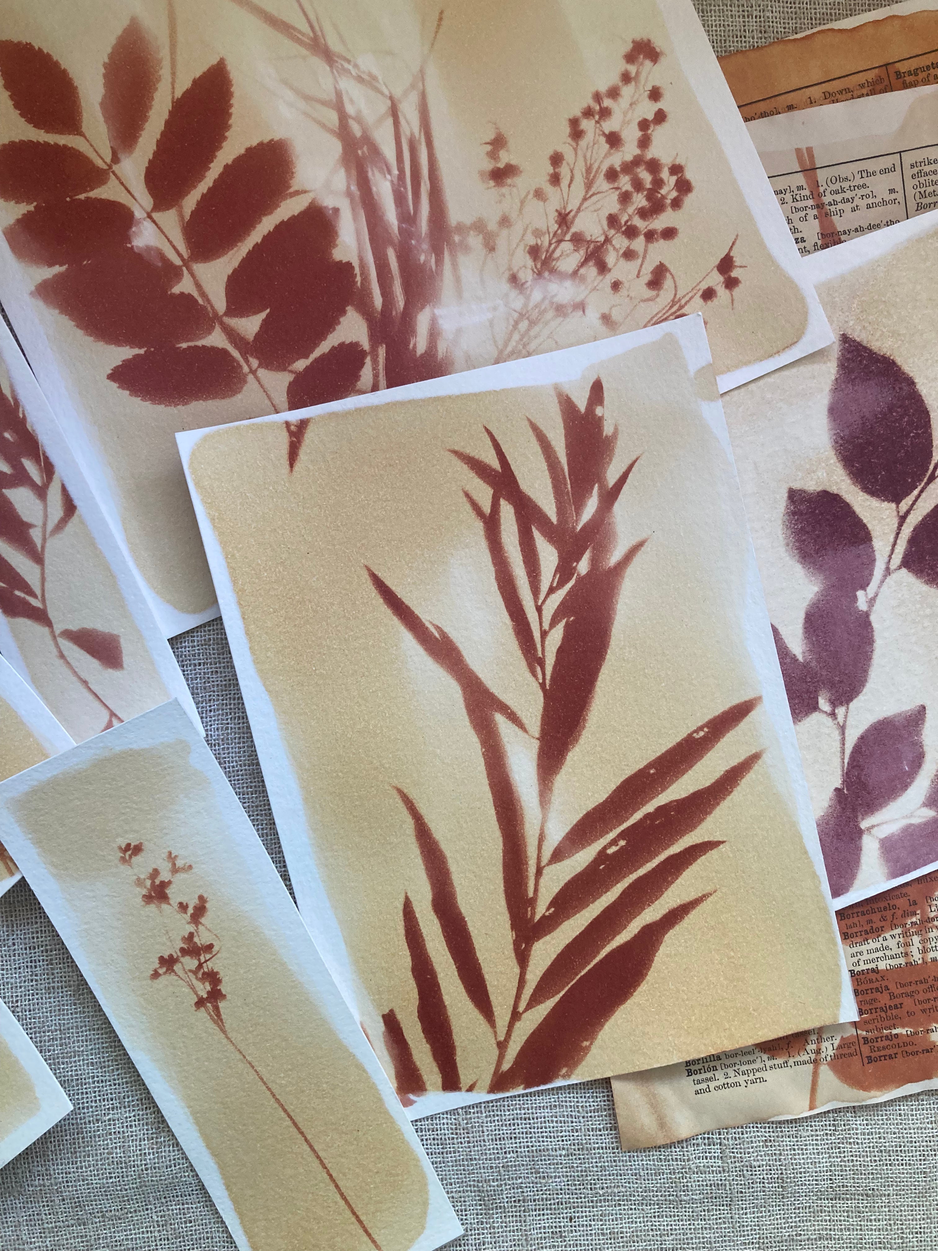 Tumeric Sun Sun Printing with Turmeric by Mandy West – Every Little Seed