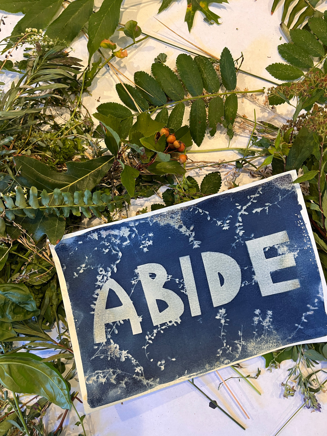 Paper and Fabric Cyanotypes