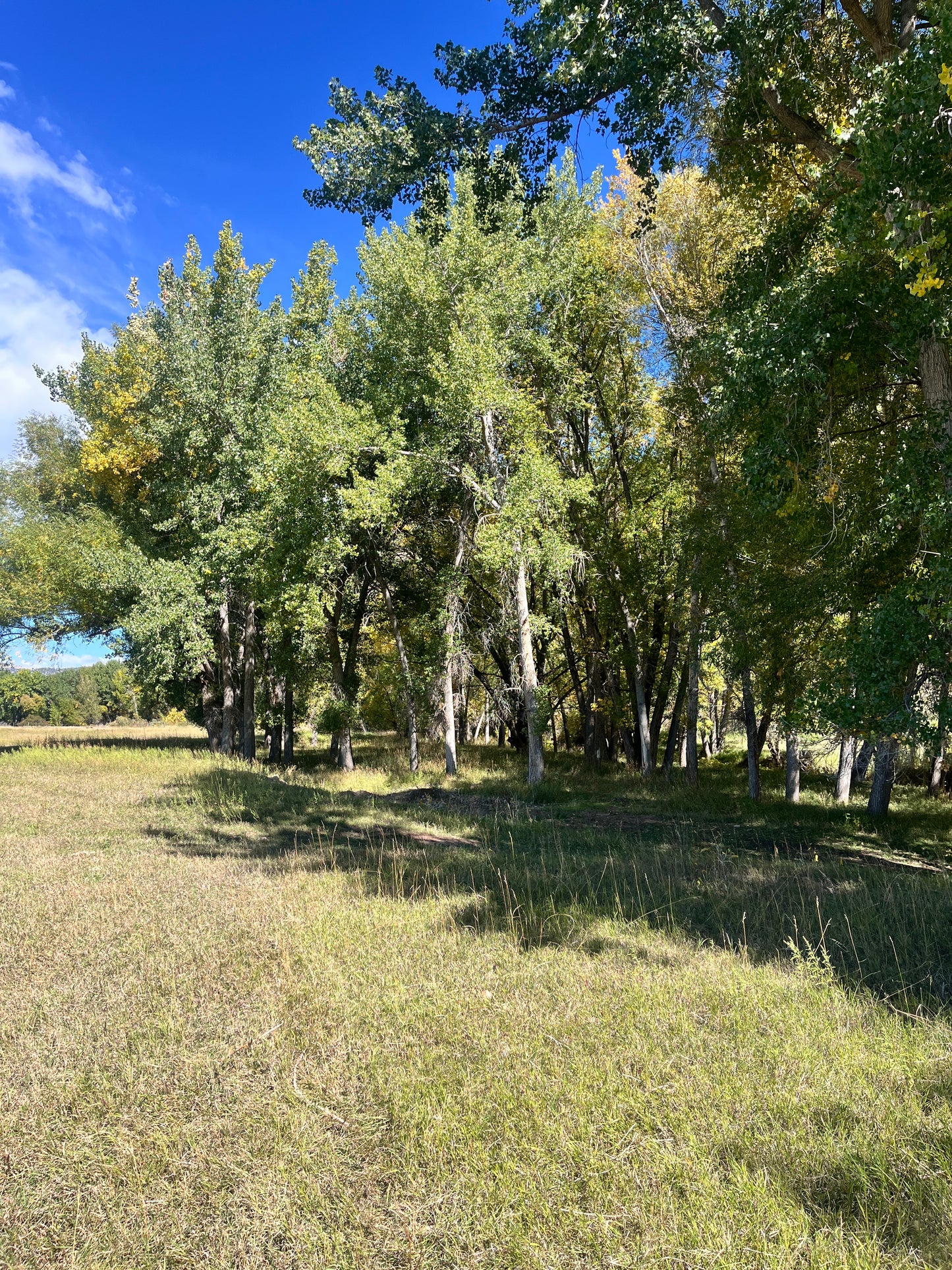 Block Printing Workshop- Offline Maker's Club