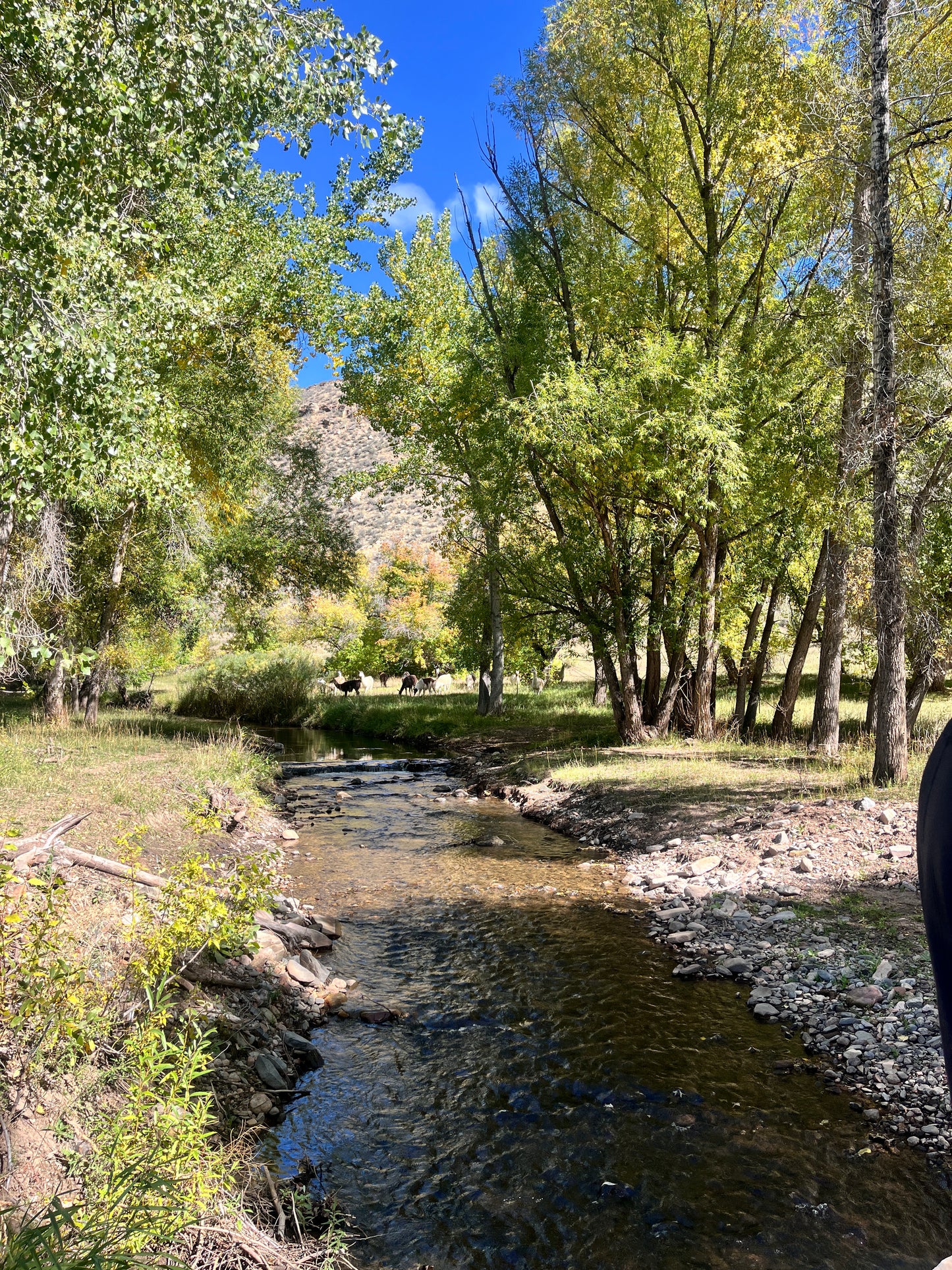 Block Printing Workshop- Offline Maker's Club