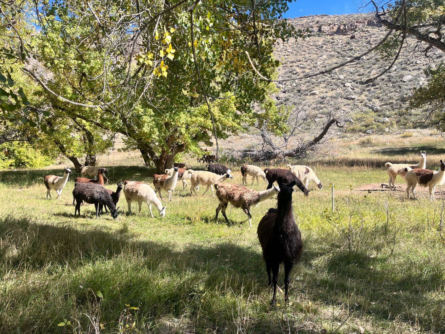 Block Printing Workshop- Offline Maker's Club