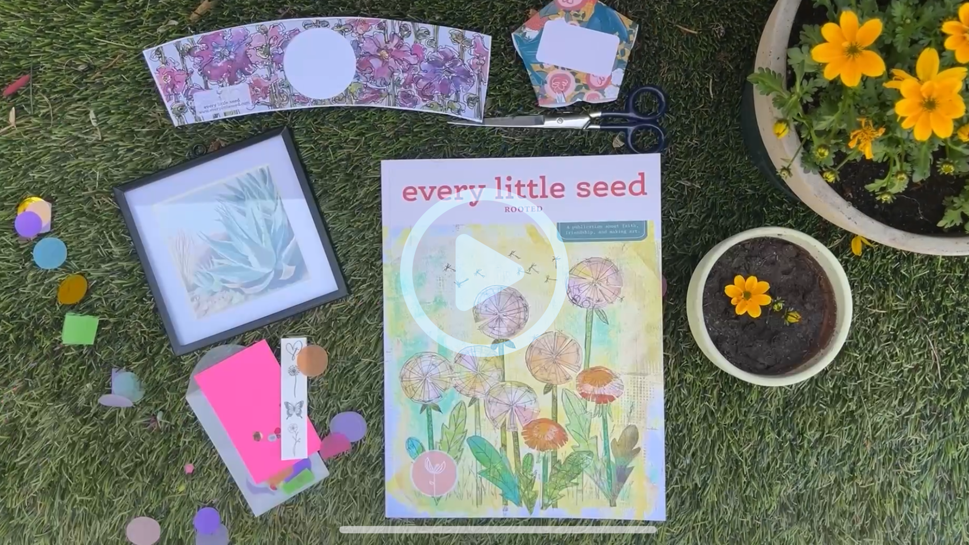 flower seed magazine Rooted Magazine – Every Little Seed